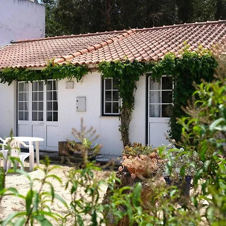 Quinta Maria Gil - B Lourinha (Lisbon)