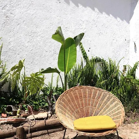 Apartmán Quinta Maria Gil - B *