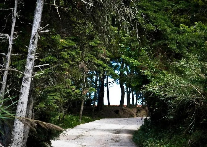 Quinta Maria Gil - B Apartamento *