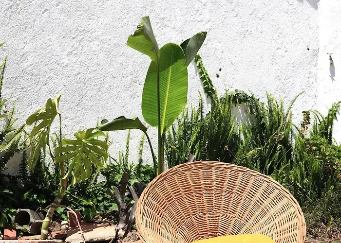 Apartamento Quinta Maria Gil - B *